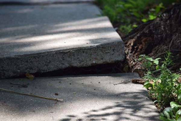 Sidewalk Leveling - Sidewalk Leveling Forsyth County, North Carolina